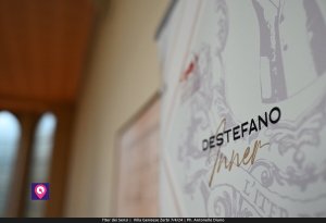 Iter Dei Sensi De Stefano (101)