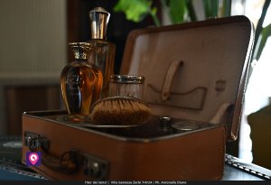 Iter Dei Sensi De Stefano (16)