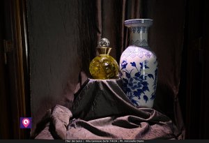 Iter Dei Sensi De Stefano (25)