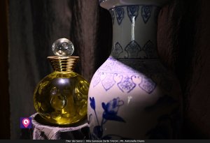 Iter Dei Sensi De Stefano (26)