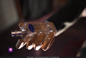 Iter Dei Sensi De Stefano (28)