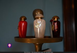 Iter Dei Sensi De Stefano (3)