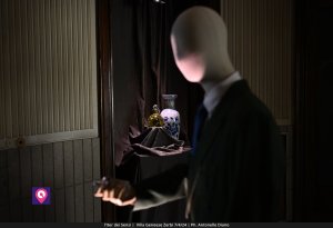 Iter Dei Sensi De Stefano (47)