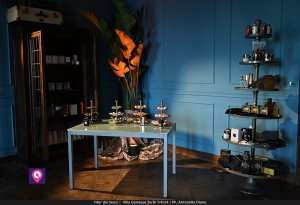 Iter Dei Sensi De Stefano (94)