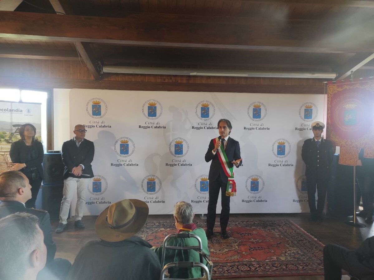 San Giorgio D'oro 2024