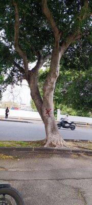 Viale Calabria 2