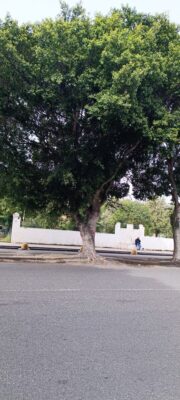 Viale Calabria 3