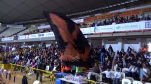 Viola Festa Play Off (2)