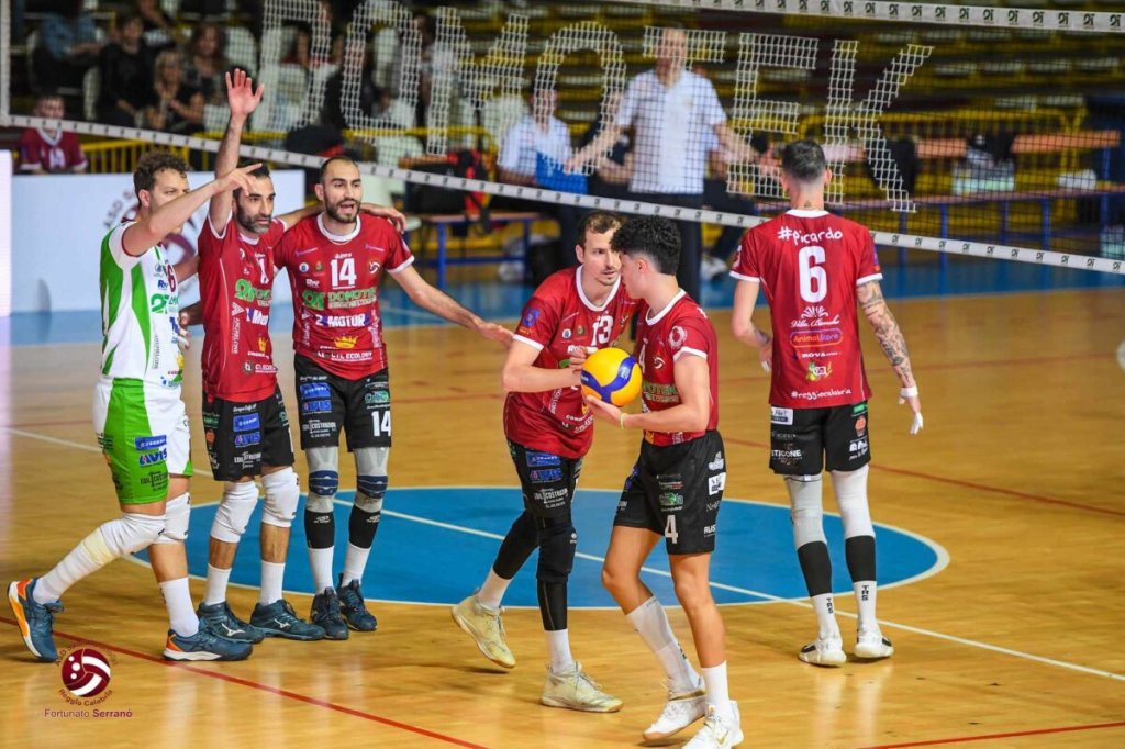 Domotek Volley 1