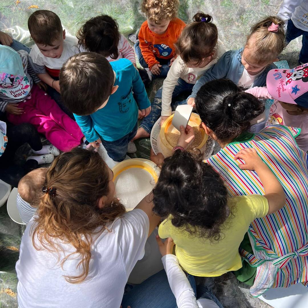 Asilo Noi Con I Bambini Giornata Api 3