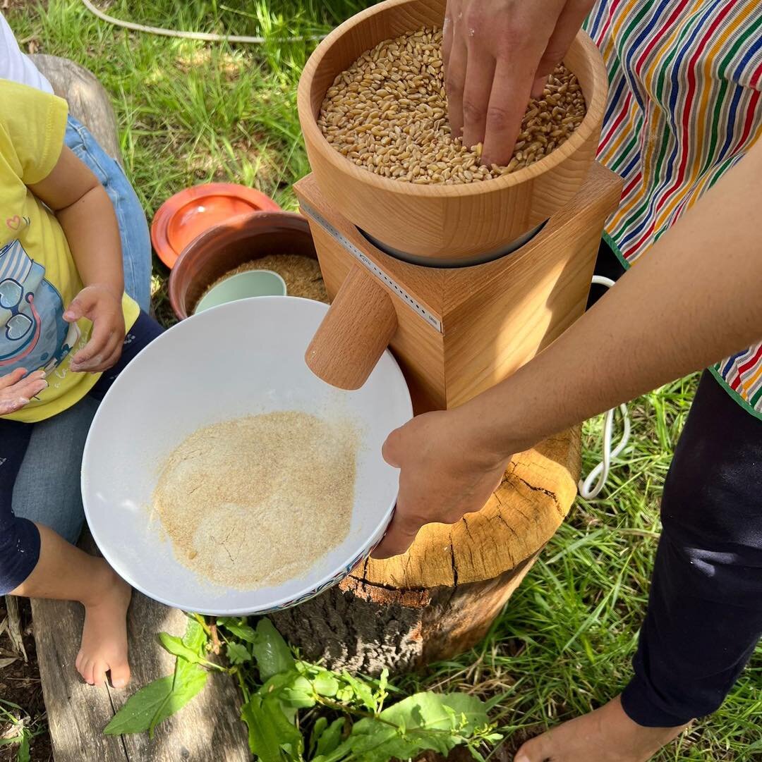 Asilo Noi Con I Bambini Giornata Api