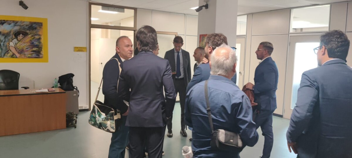 Cedir Falcomata Tagliavento 1