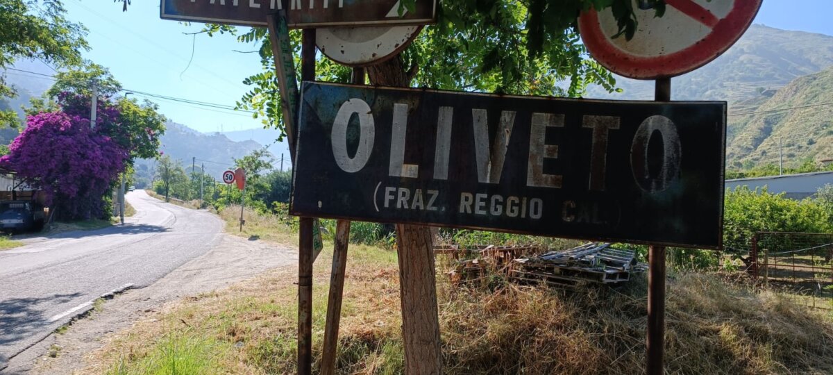 Oliveto Macellaio (2)