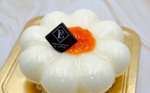 Semifreddi Bar Dolce Capriccio (11)