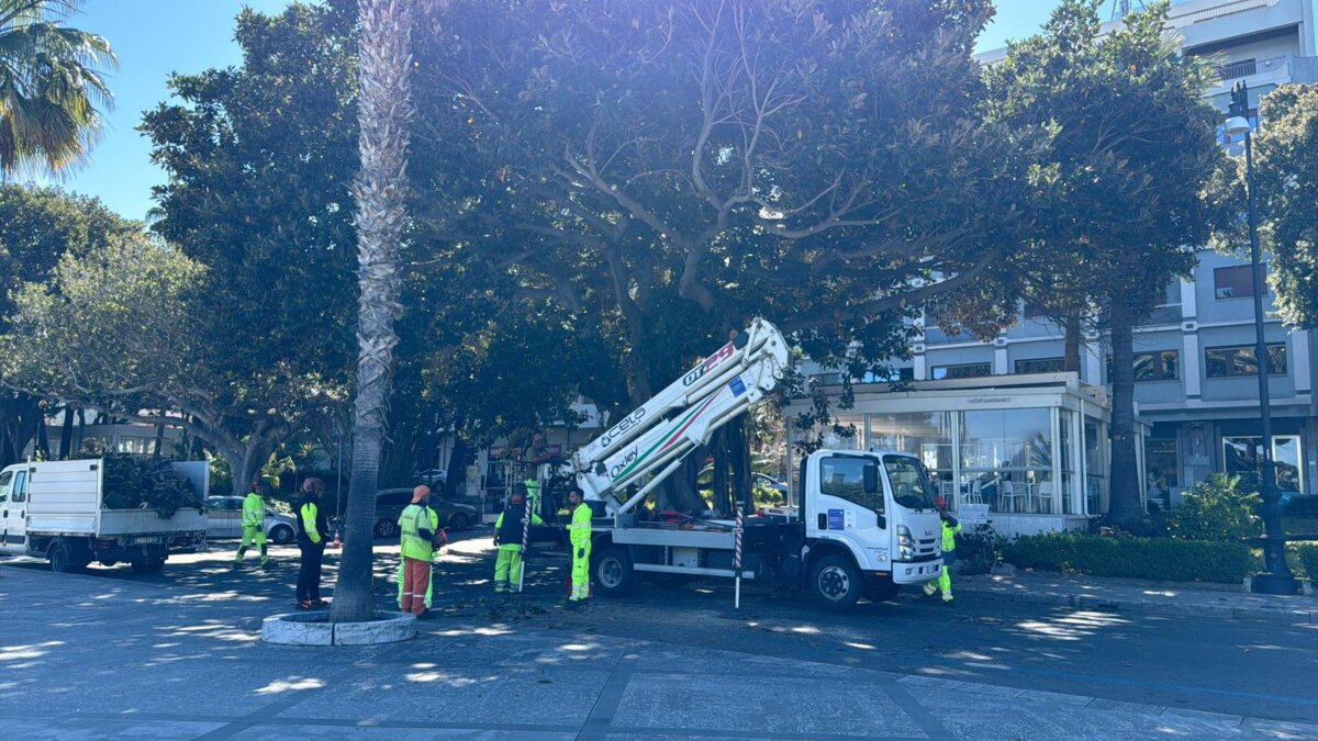 Stabilità Alberi Lungomare 6