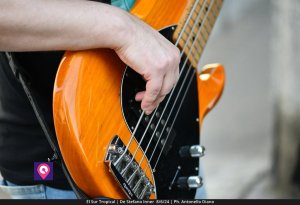 El Sur Tropical (21)