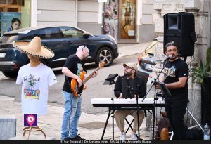 El Sur Tropical (45)