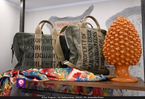 El Sur Tropical (60)