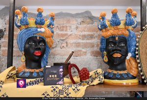 El Sur Tropical (61)