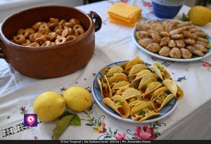 El Sur Tropical (90)