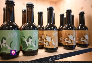 Origini Gluten Free (13)