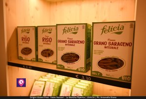 Origini Gluten Free (5)