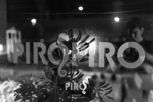 PiroPiro University 26