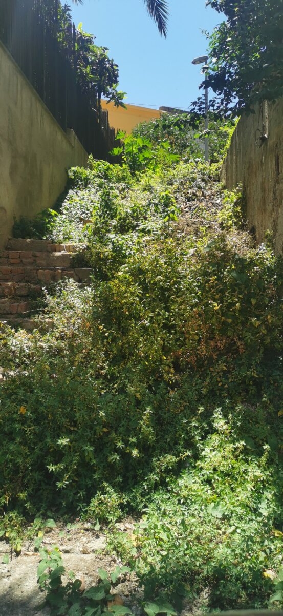 Degrado Via Villini (4)