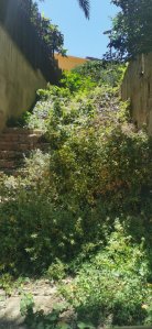 Degrado Via Villini (4)