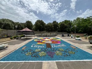 Infiorata Villamesa01