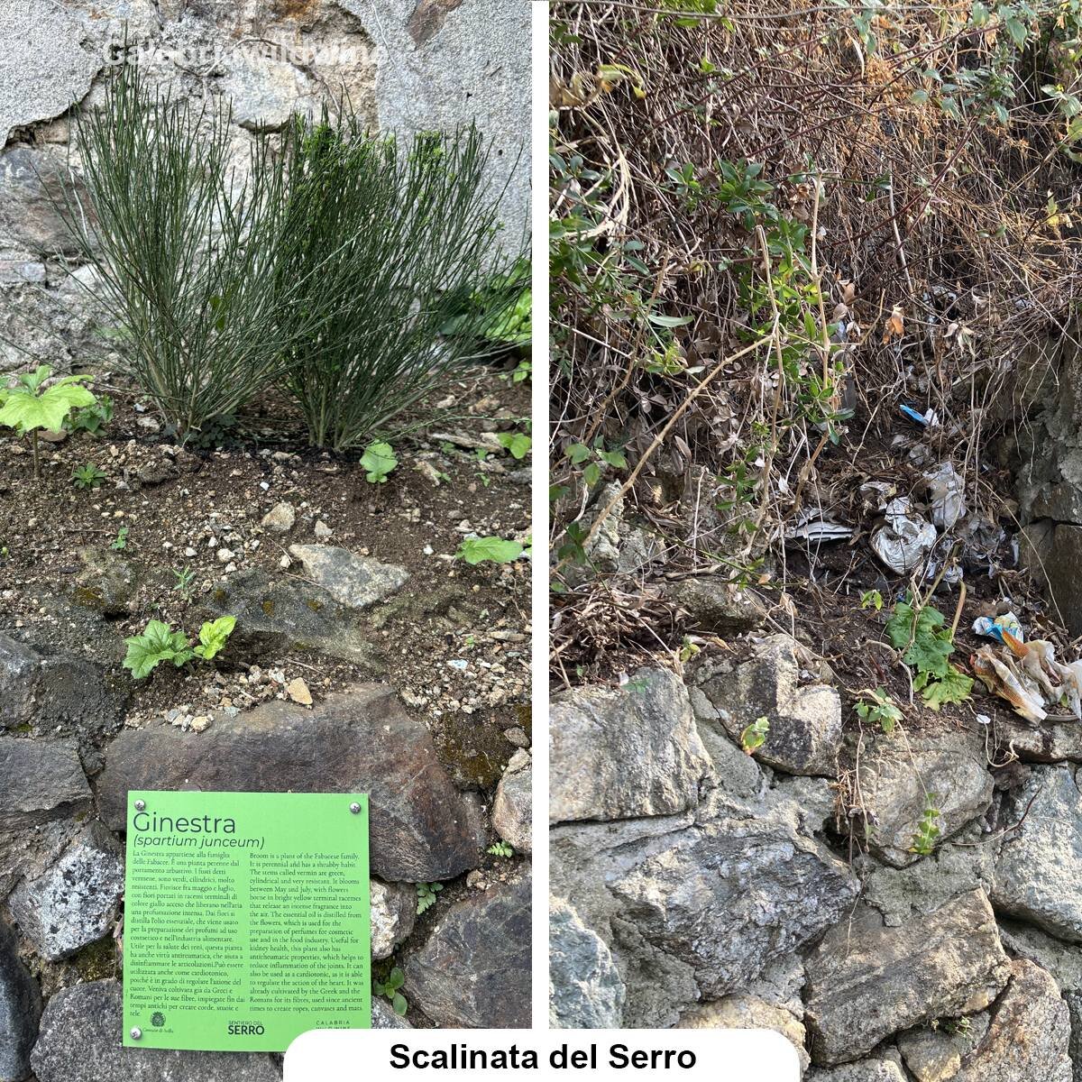 Scalinata Del Serro Scilla 3