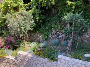 Scalinata Del Serro Scilla 7