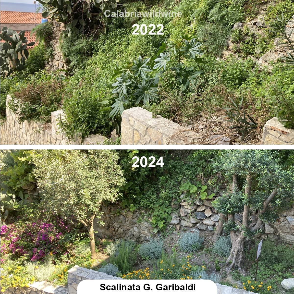 Scalinata Garibaldi Scilla