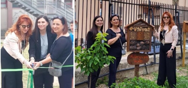 Wwf Reggio Calabria