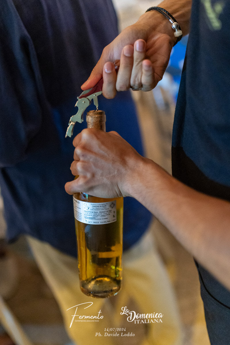 Fermento Domenica (147)