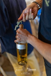 Fermento Domenica (147)