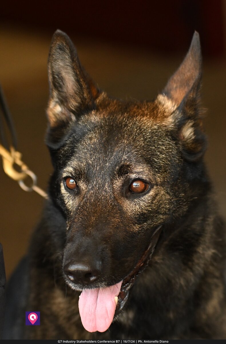 G7 Industry Stakeholder (154)