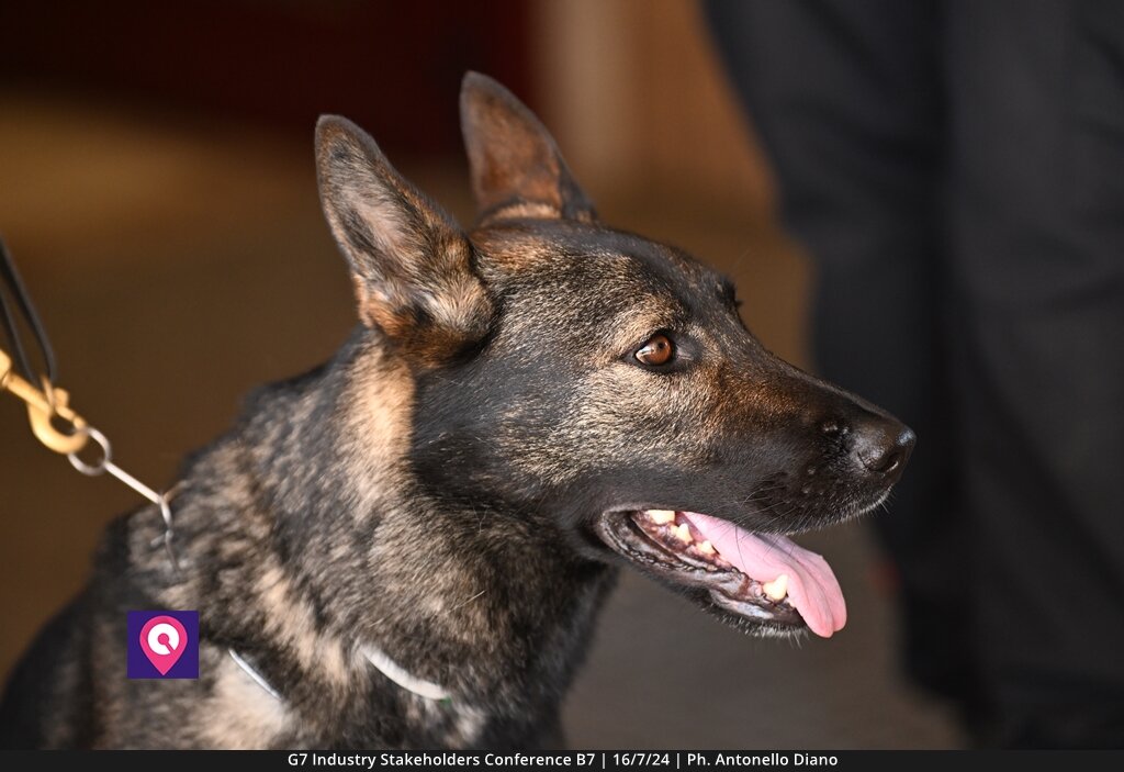 G7 Industry Stakeholder (155)