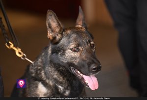 G7 Industry Stakeholder (156)