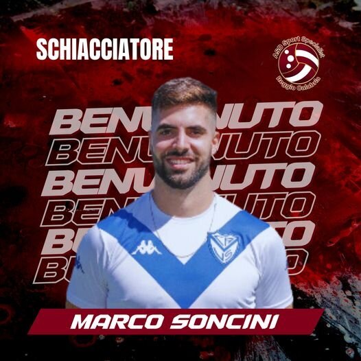 Marco Soncini Domotek