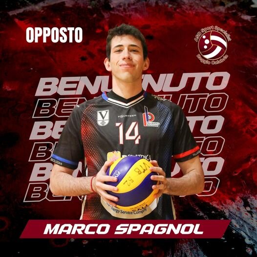 Marco Spagnol Domotek