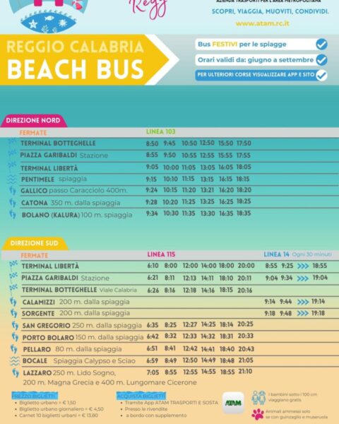 Beach Bus Atam2