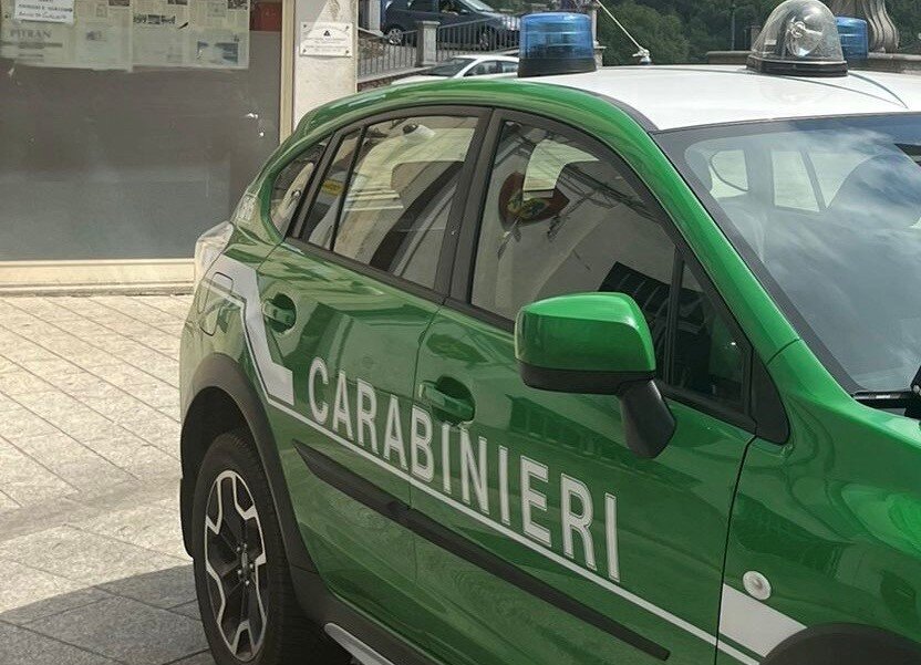 Carabinieri Forestali