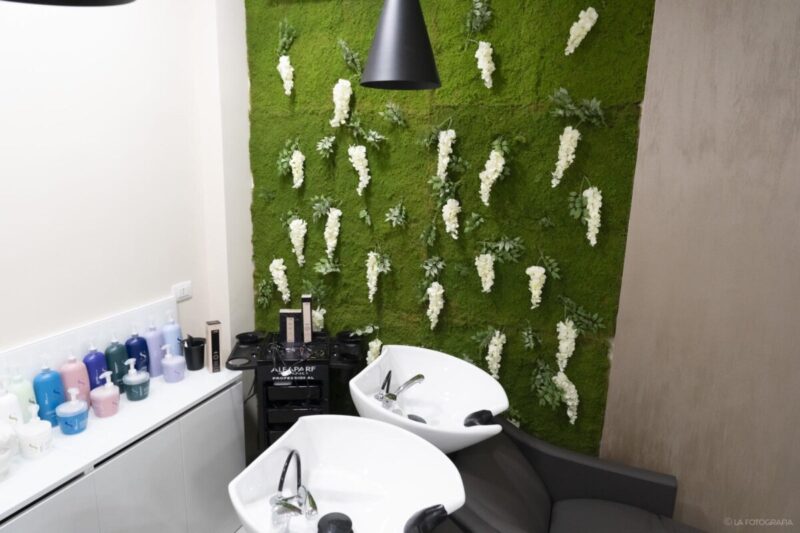 Esteticainmente 5