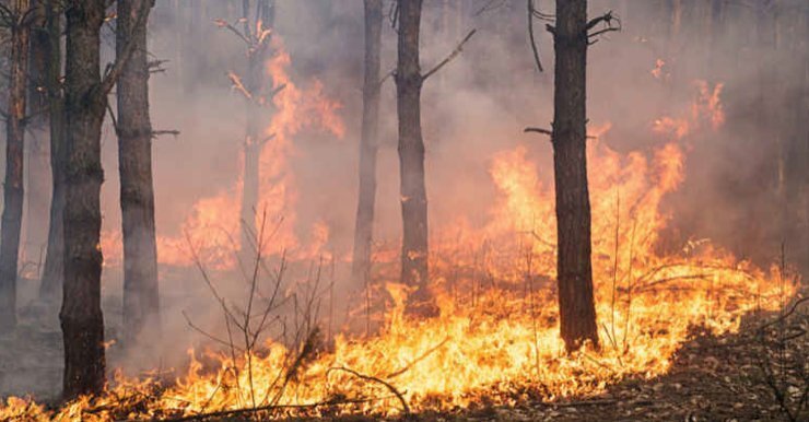 Foto Incendi