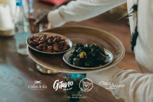 Gitano Onorico Socio Crew 210