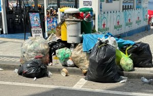 Spazzatura Scilla 55