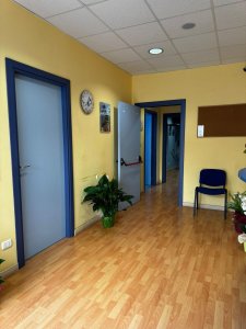 Free Mind Fisiozone (2)