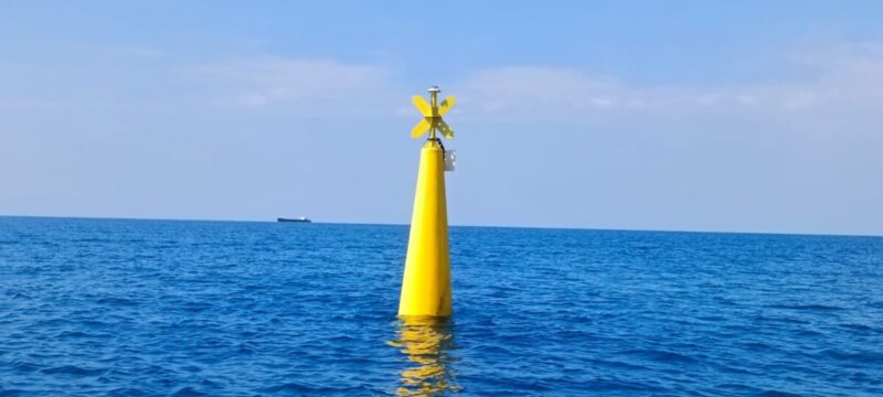 Boe Parco Marino Costa Ionica Reggio Calabria