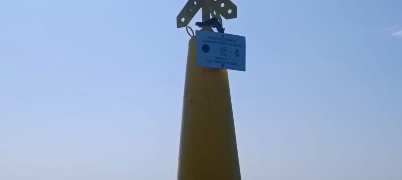Boe Parco Marino Costa Ionica Reggio Calabria 1